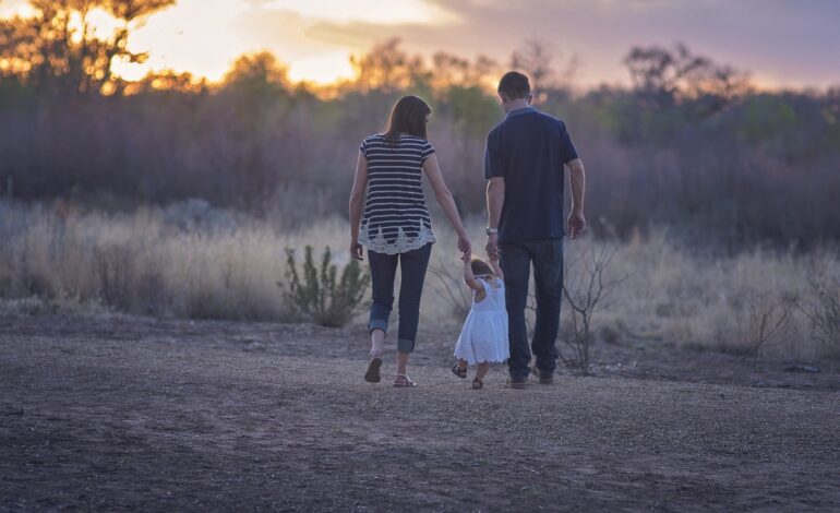 What is the average family size in Ukraine?