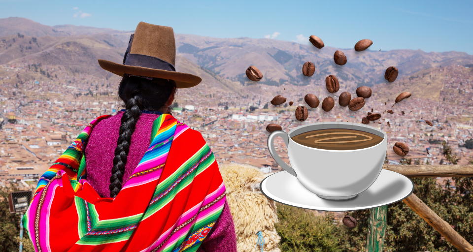 Where to buy Peruvian coffee?