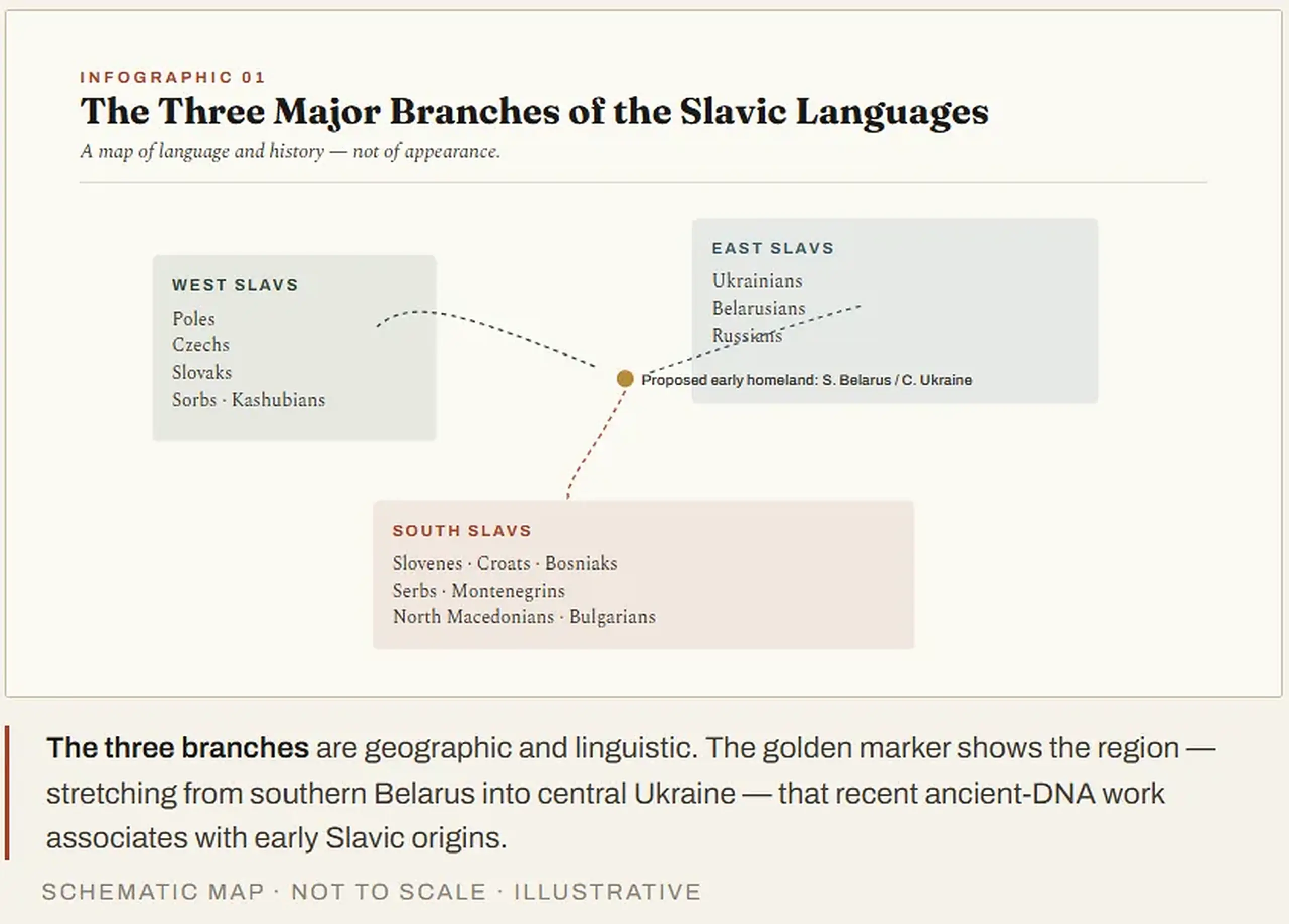 Three major branches of the Slavic languages — West, East and South Slavs.